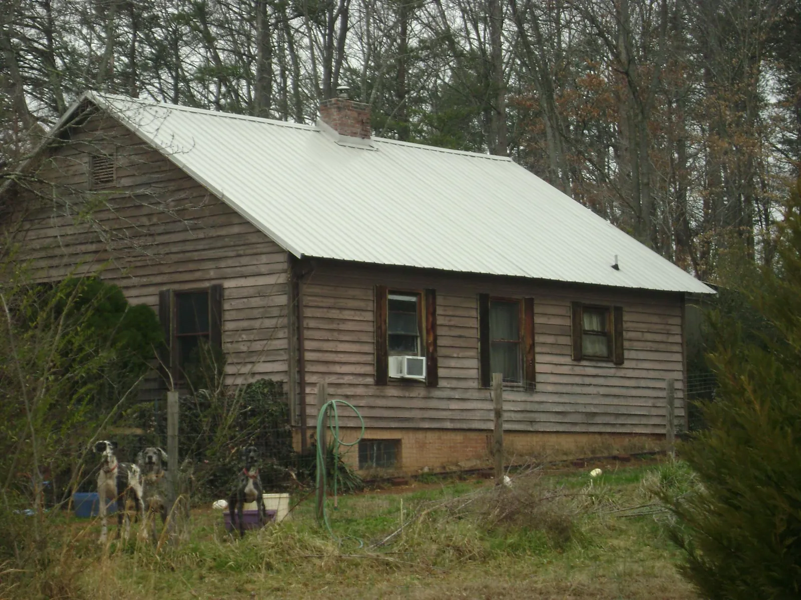 White metal roof on an old wood sided farmhouse, from a Asphalt Shingle Roof Repair job in Rigby